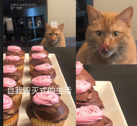 自我毁灭式的生活